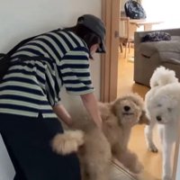 ますお君＆まるお君とママさんの再会⑩