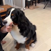 お目目がキラキラ