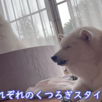 それぞれのリラックスタイムに…