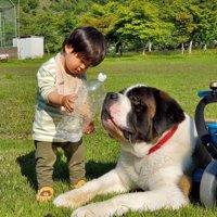 カイザーくんとの思い出7