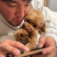 スマホを見るのを邪魔する小型犬