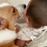 「ねんねしな～」