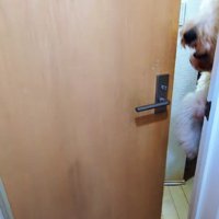 ドアがゆっくり開き始めた