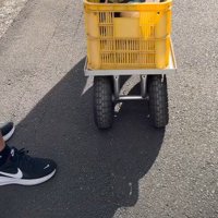 おじいちゃんおばあちゃんの家へ
