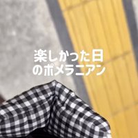肩に掛けられたチェック柄のバッグ