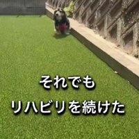 リハビリを開始