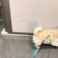 仕事場に着くと…