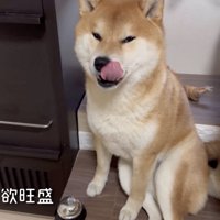 「おやつほしいです」