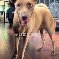 家族一丸となってここまでこれた