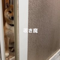 まるで石像のよう