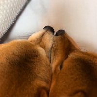 まさかの喧嘩中だった！！