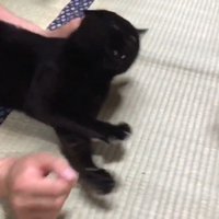 くしゃみで撃退！