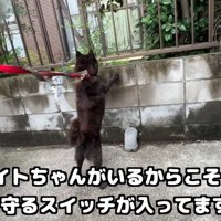 その後も安全を確認しながらお散歩