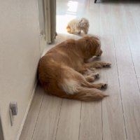 すっかり相棒に！
