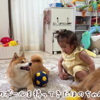 ふたりの絆に感動