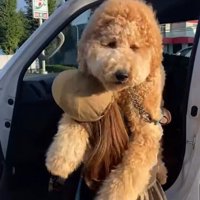 「ママ、おねがい…」