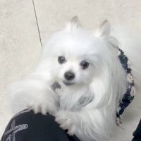 必死の形相に！！