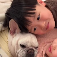 女の子に腕枕をされている犬を見つめる男の子