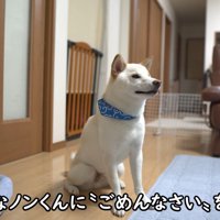 イタズラして怒られてしまいました