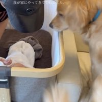 はじめまして〜