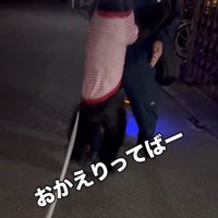 男性に向かって何度もジャンプする黒い犬