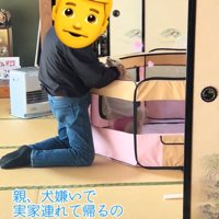 仲良しなふたり