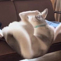 バランスを崩して落下