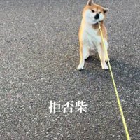 普段のお散歩中も…