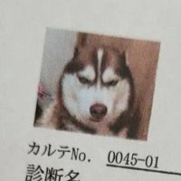 「絶対に許さない…」