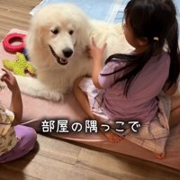 笑顔の犬