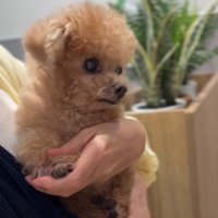 病院の待合室に入ると…