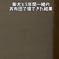 寝室に行くと…