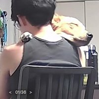 カメラを確認してみると…