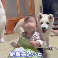 家族の平和な姿にほっこり