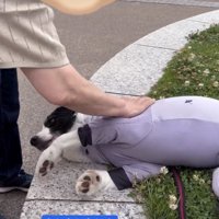 「もっとなでてぇ」