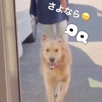 行ったり来たり