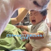 赤ちゃんが泣いた時のごろちゃん6