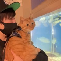 「なんだこれ？」と不思議そうなだいず君