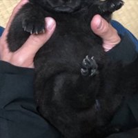 お迎え