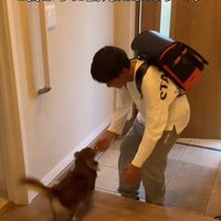 アムくんとお兄ちゃんの再会3