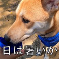 しっかり水分補給