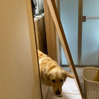 豪快すぎる突破劇