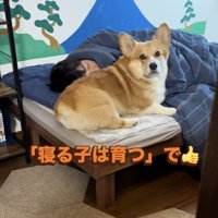 ジッさん、なぜかドヤ顔