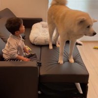 凛太郎くんがやってきて…