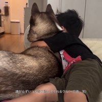 男の子を慰めるウルくん3