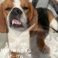 目を覚ましても…
