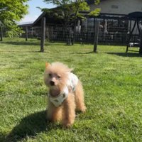 これからも元気でね！！