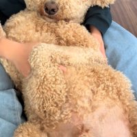 甘えん坊で可愛い♡