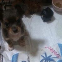 小さなめいちゃん