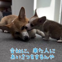 後輩を指導する風ちゃん